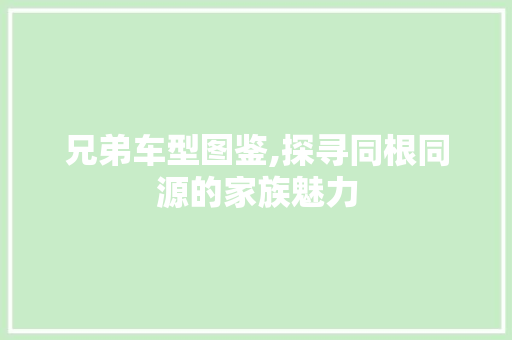 兄弟车型图鉴,探寻同根同源的家族魅力