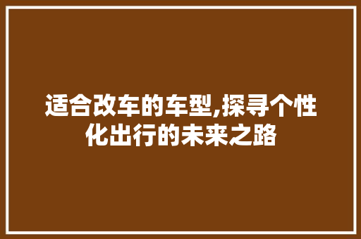 适合改车的车型,探寻个性化出行的未来之路