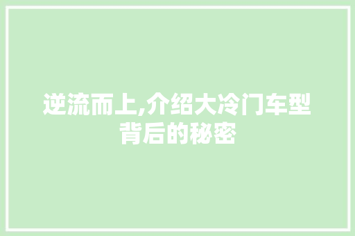 逆流而上,介绍大冷门车型背后的秘密
