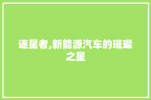 逐星者,新能源汽车的璀璨之星