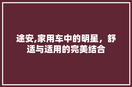 途安,家用车中的明星，舒适与适用的完美结合
