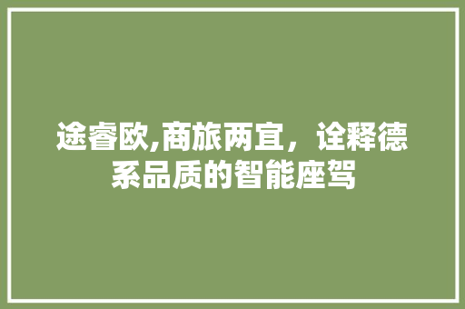 途睿欧,商旅两宜，诠释德系品质的智能座驾
