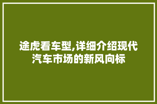 途虎看车型,详细介绍现代汽车市场的新风向标