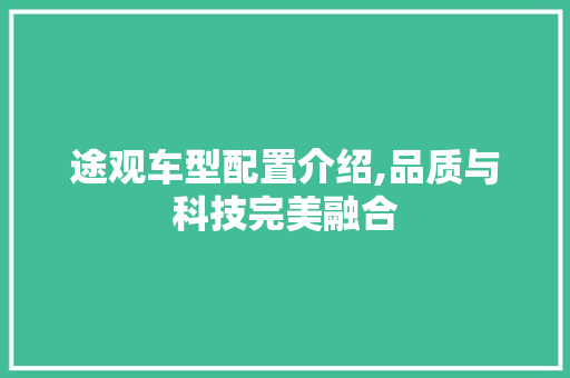 途观车型配置介绍,品质与科技完美融合