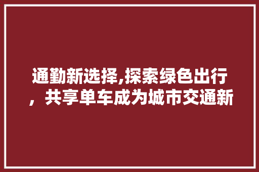 通勤新选择,探索绿色出行，共享单车成为城市交通新宠