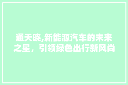 通天晓,新能源汽车的未来之星，引领绿色出行新风尚