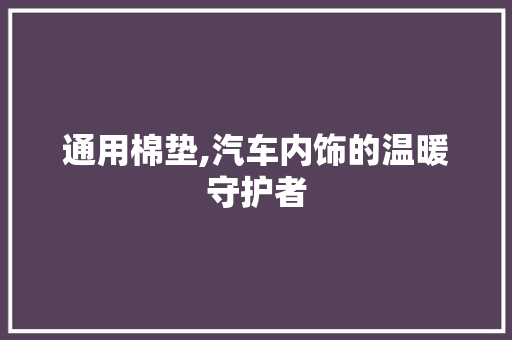 通用棉垫,汽车内饰的温暖守护者