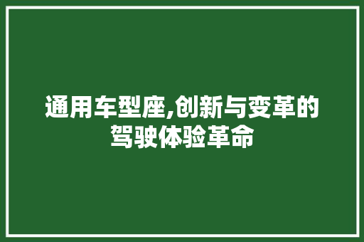 通用车型座,创新与变革的驾驶体验革命