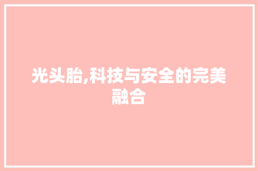 光头胎,科技与安全的完美融合