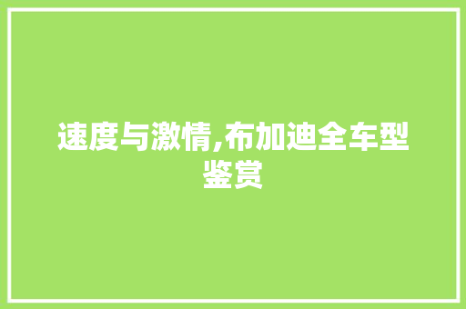 速度与激情,布加迪全车型鉴赏