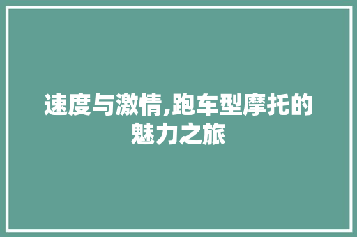 速度与激情,跑车型摩托的魅力之旅
