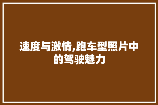 速度与激情,跑车型照片中的驾驶魅力
