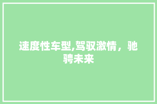 速度性车型,驾驭激情，驰骋未来