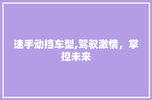 速手动挡车型,驾驭激情，掌控未来