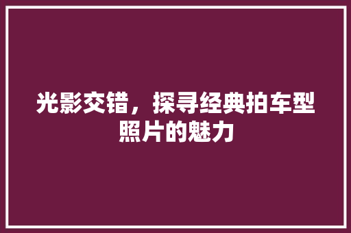 光影交错，探寻经典拍车型照片的魅力