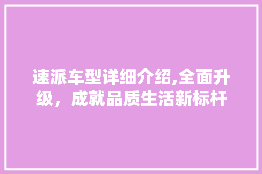 速派车型详细介绍,全面升级，成就品质生活新标杆