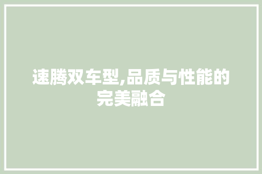 速腾双车型,品质与性能的完美融合
