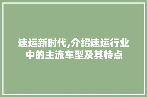 速运新时代,介绍速运行业中的主流车型及其特点