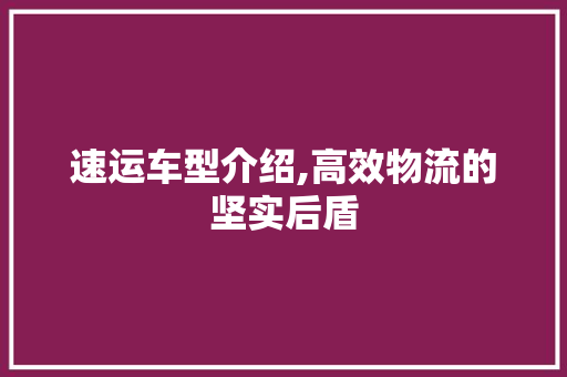 速运车型介绍,高效物流的坚实后盾