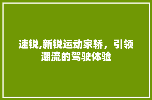 速锐,新锐运动家轿，引领潮流的驾驶体验