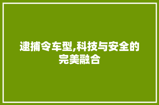 逮捕令车型,科技与安全的完美融合