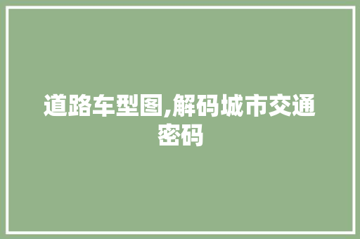 道路车型图,解码城市交通密码