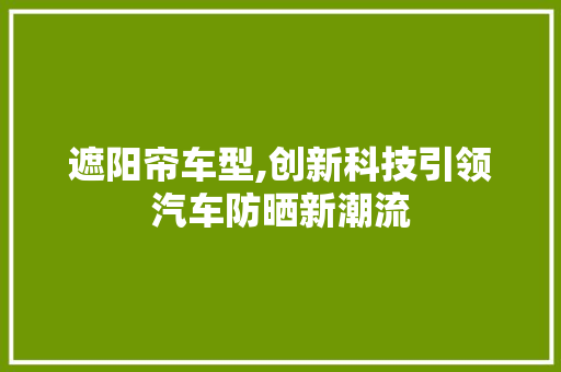 遮阳帘车型,创新科技引领汽车防晒新潮流