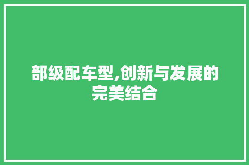 部级配车型,创新与发展的完美结合
