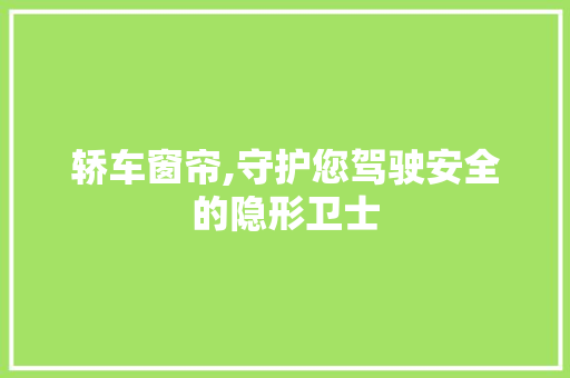 轿车窗帘,守护您驾驶安全的隐形卫士