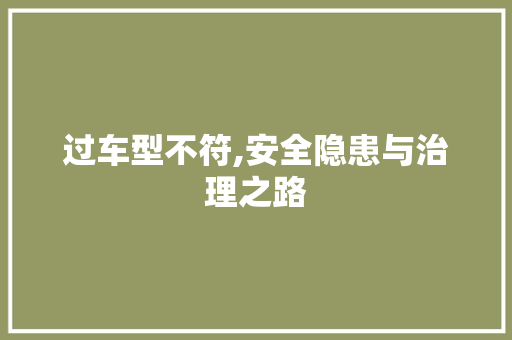 过车型不符,安全隐患与治理之路