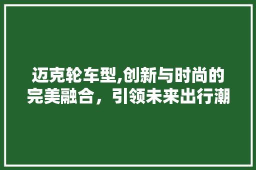 迈克轮车型,创新与时尚的完美融合，引领未来出行潮流