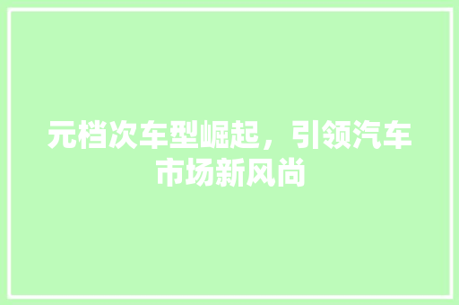 元档次车型崛起，引领汽车市场新风尚