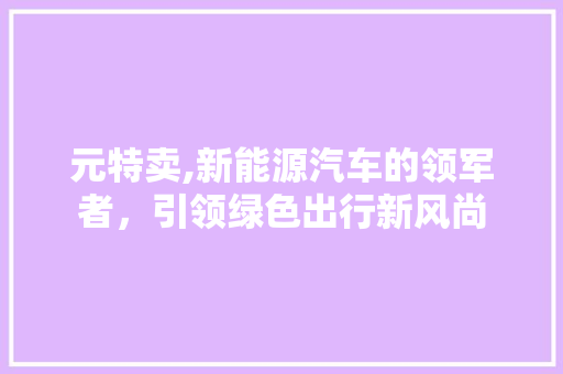 元特卖,新能源汽车的领军者，引领绿色出行新风尚