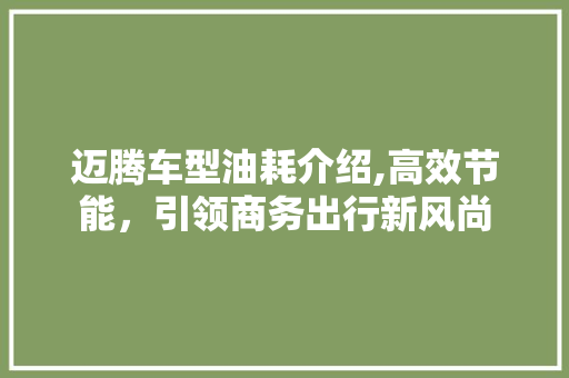 迈腾车型油耗介绍,高效节能，引领商务出行新风尚