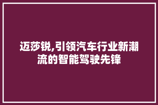 迈莎锐,引领汽车行业新潮流的智能驾驶先锋