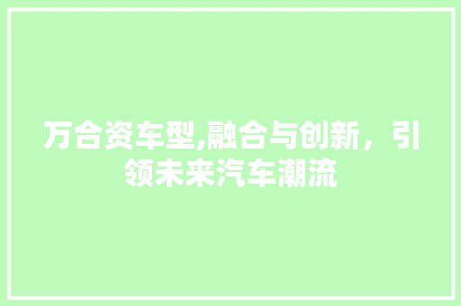 万合资车型,融合与创新，引领未来汽车潮流