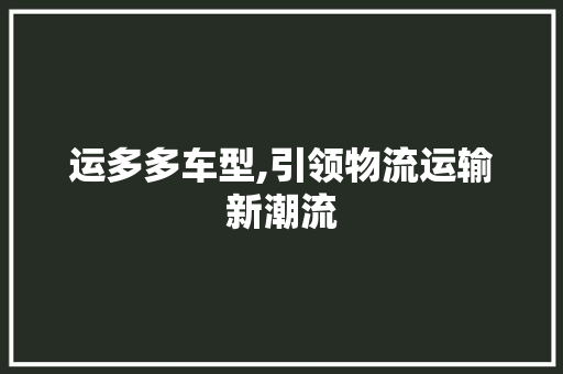 运多多车型,引领物流运输新潮流