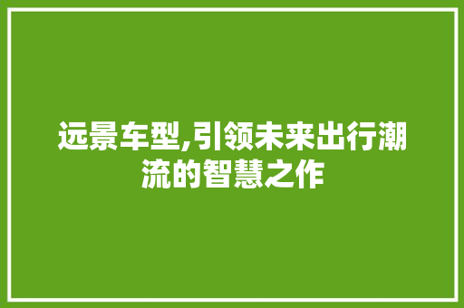 远景车型,引领未来出行潮流的智慧之作