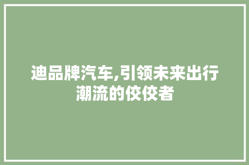 迪品牌汽车,引领未来出行潮流的佼佼者