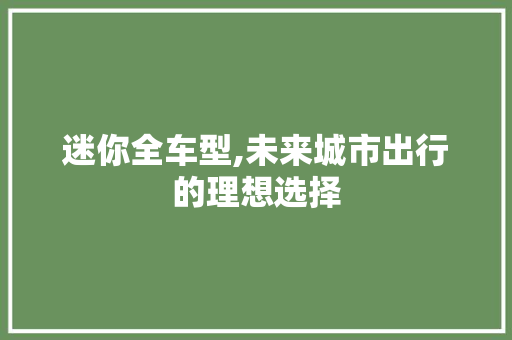 迷你全车型,未来城市出行的理想选择