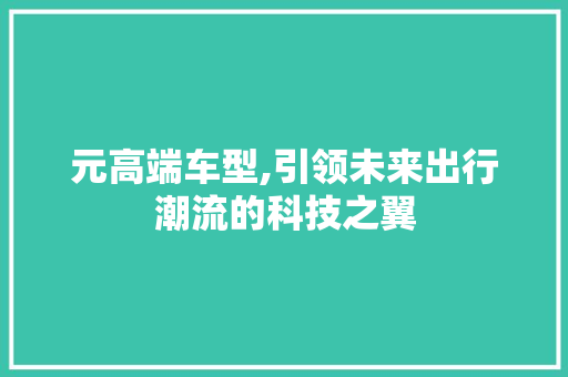 元高端车型,引领未来出行潮流的科技之翼