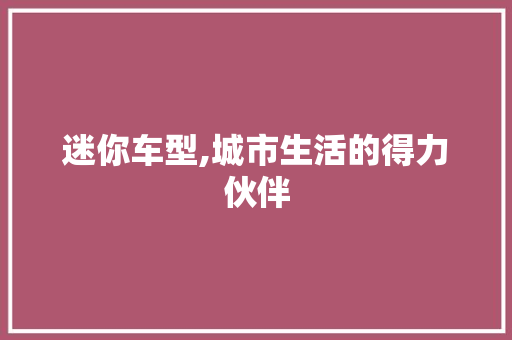 迷你车型,城市生活的得力伙伴