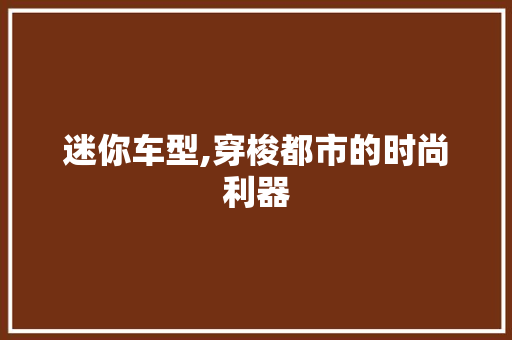 迷你车型,穿梭都市的时尚利器