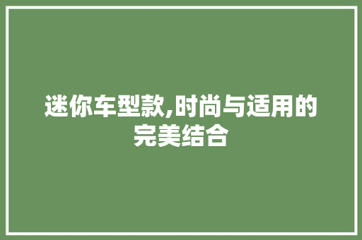 迷你车型款,时尚与适用的完美结合