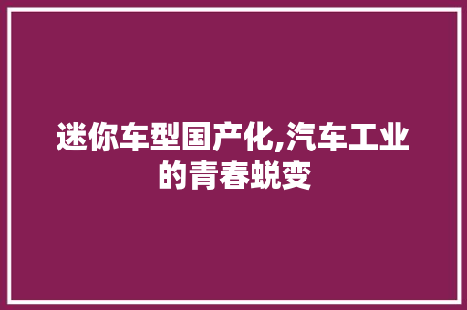 迷你车型国产化,汽车工业的青春蜕变