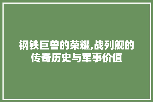 钢铁巨兽的荣耀,战列舰的传奇历史与军事价值