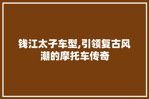 钱江太子车型,引领复古风潮的摩托车传奇 车身配件