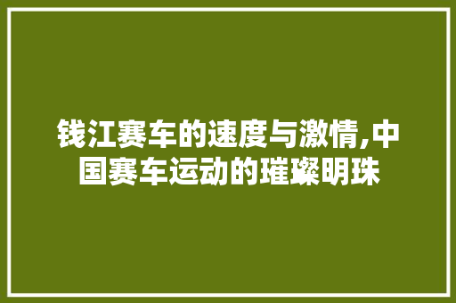 钱江赛车的速度与激情,中国赛车运动的璀璨明珠