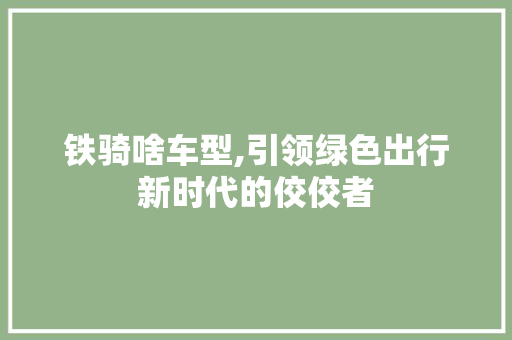 铁骑啥车型,引领绿色出行新时代的佼佼者