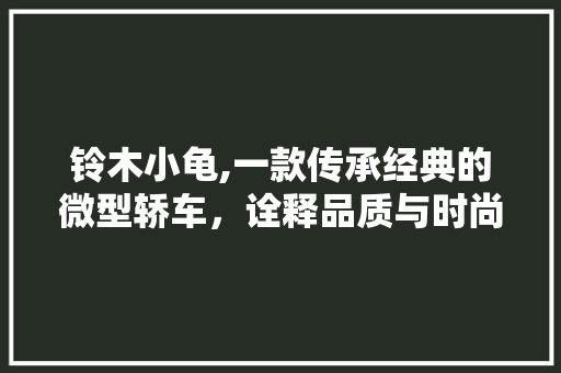 铃木小龟,一款传承经典的微型轿车，诠释品质与时尚的完美结合
